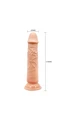 21 cm Gerçekçi Vantuzlu Dildo - Resim 2