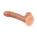 Ten Dokulu Sünnetsiz Realistik Vantuzlu Dildo - 19cm - Resim 3